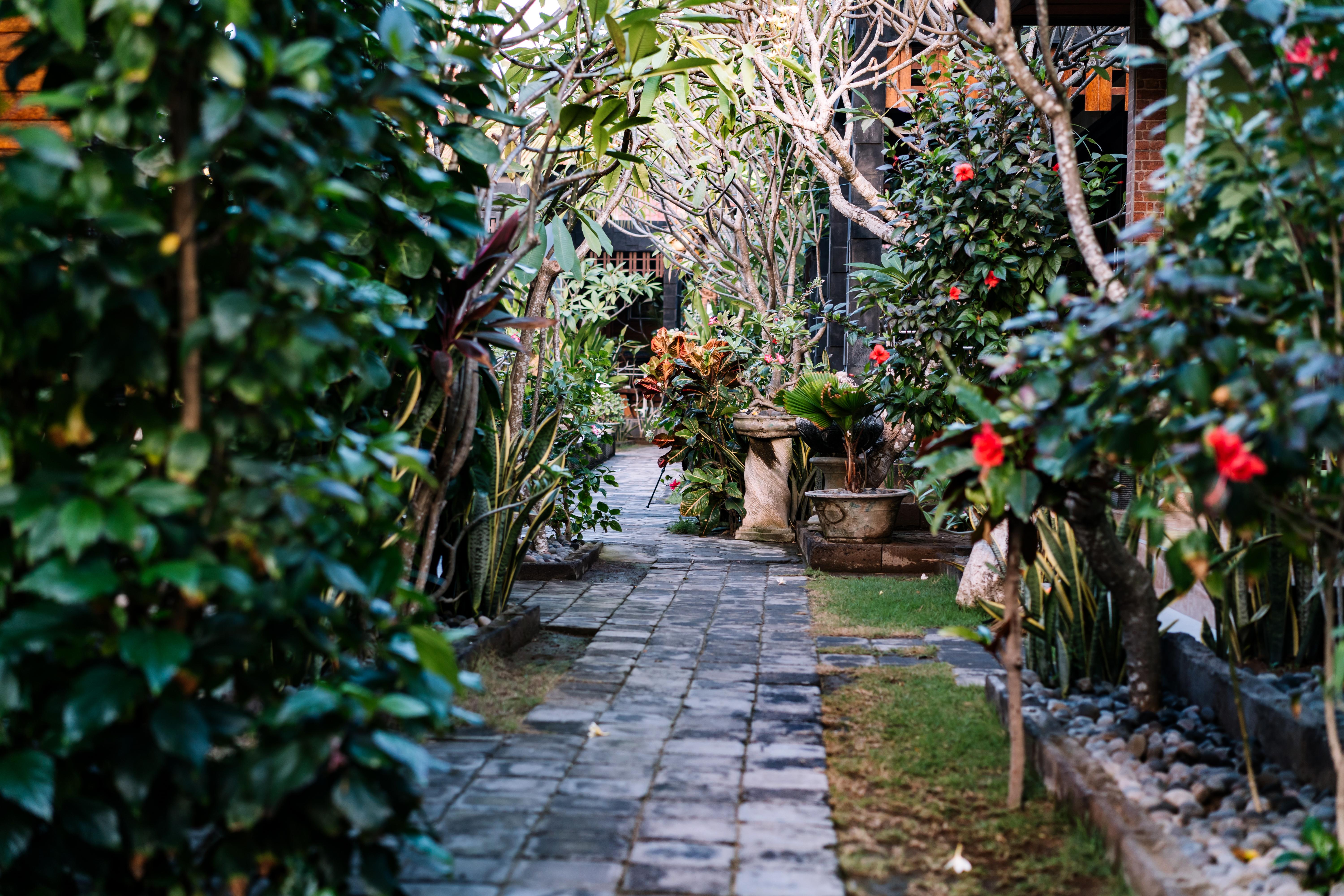 D And B Bungalow'S By Dewizz Management Lembongan Exterior foto